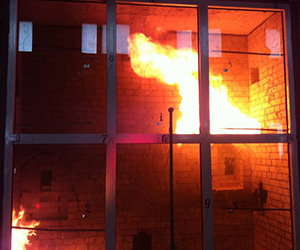 Противопожарные окна Раменское